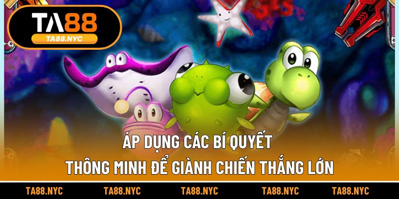 Áp dụng các bí quyết thông minh để giành chiến thắng lớn