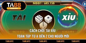 Cách Chơi Tài Xỉu – Toàn Tập Từ A Đến Z Cho Người Mới