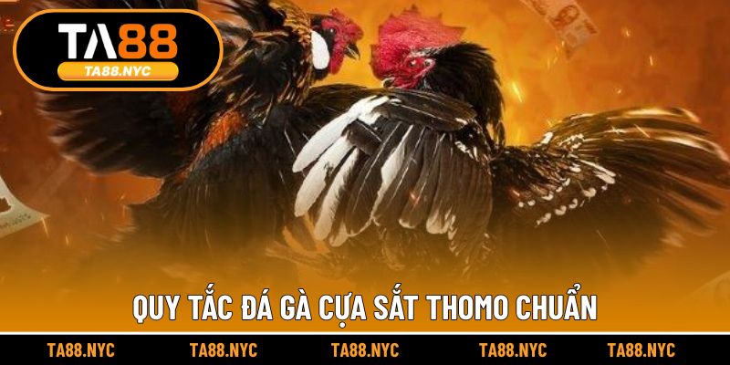 Quy tắc đá gà cựa sắt Thomo chuẩn