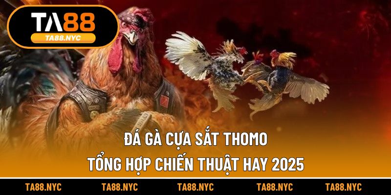 Đá Gà Cựa Sắt Thomo | Tổng Hợp Chiến Thuật Hay 2025
