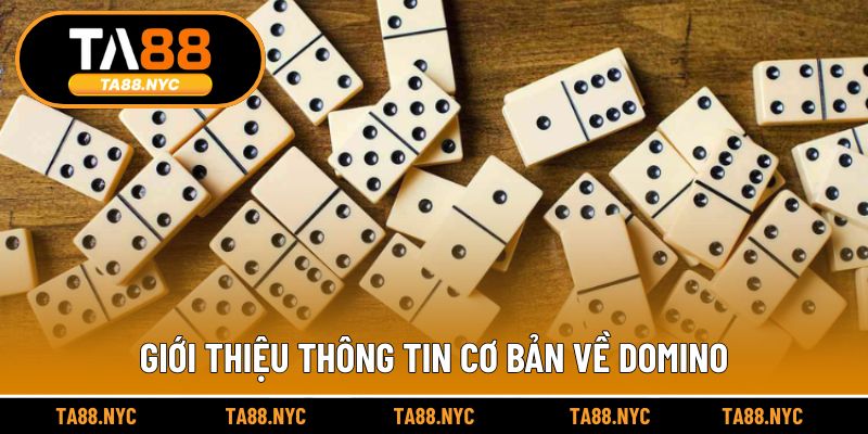 Giới thiệu thông tin cơ bản về Domino