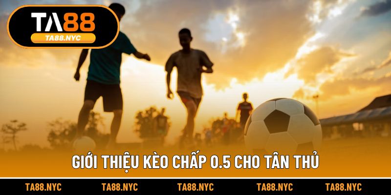 Giới thiệu kèo chấp 0.5 cho tân thủ