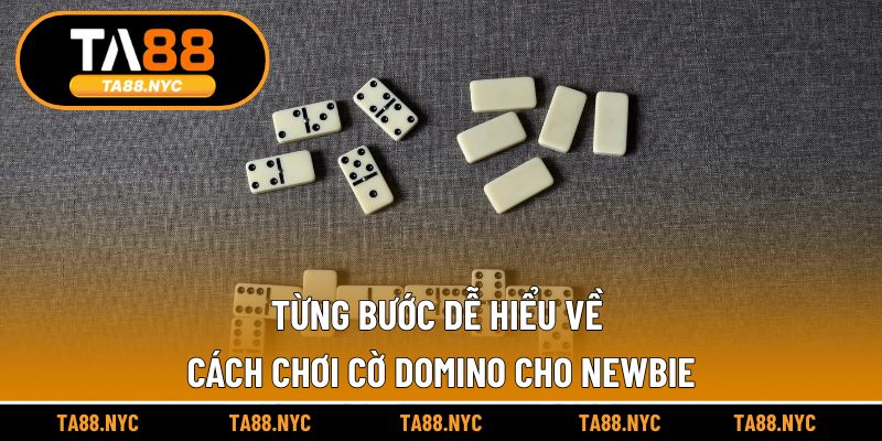 Từng bước dễ hiểu về cách chơi cờ Domino cho newbie