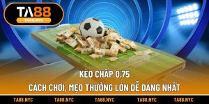 Kèo Chấp 0.75 - Cách Chơi, Mẹo Thưởng Lớn Dễ Dàng Nhất