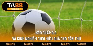 Kèo Chấp 0.5 Và Kinh Nghiệm Chơi Hiệu Quả Cho Tân Thủ