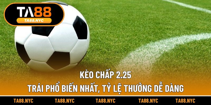 Kèo Chấp 2.25 Trái Phổ Biến Nhất, Tỷ Lệ Thưởng Dễ Dàng