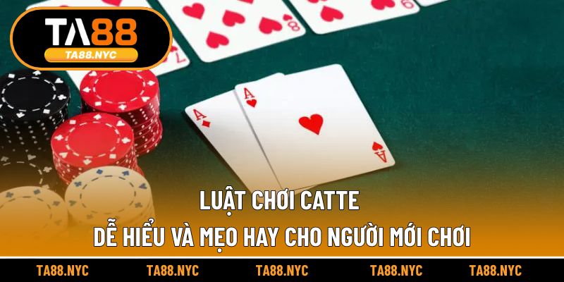 Luật Chơi Catte Dễ Hiểu Và Mẹo Hay Cho Người Mới Chơi