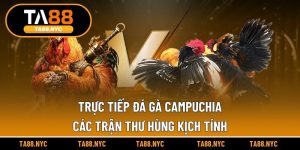 Trực Tiếp Đá Gà Campuchia | Các Trận Thư Hùng Kịch Tính