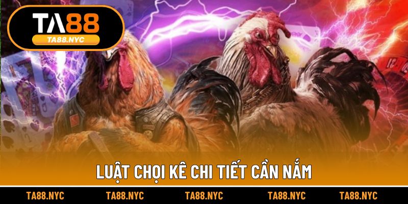 Luật chọi kê chi tiết cần nắm